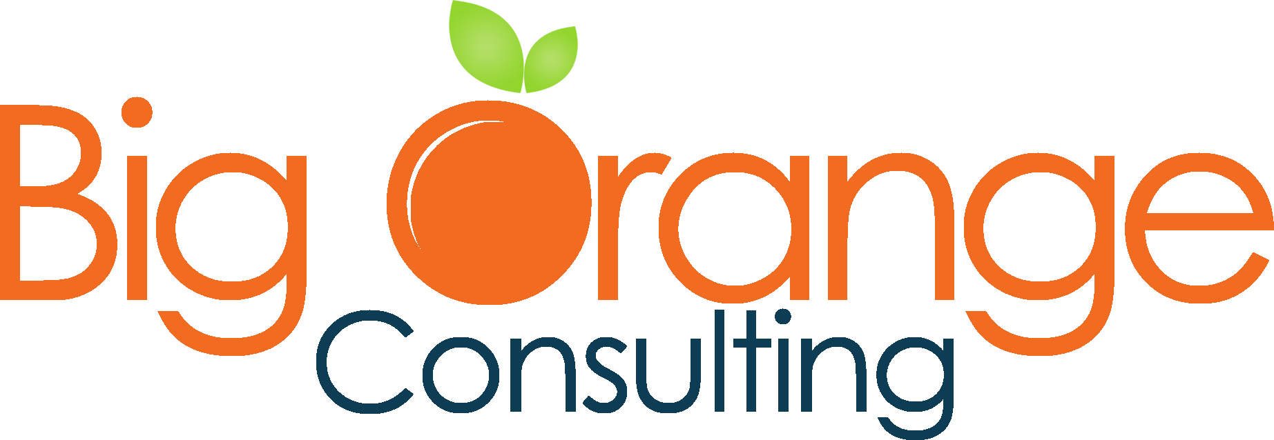 Big Orange Consulting